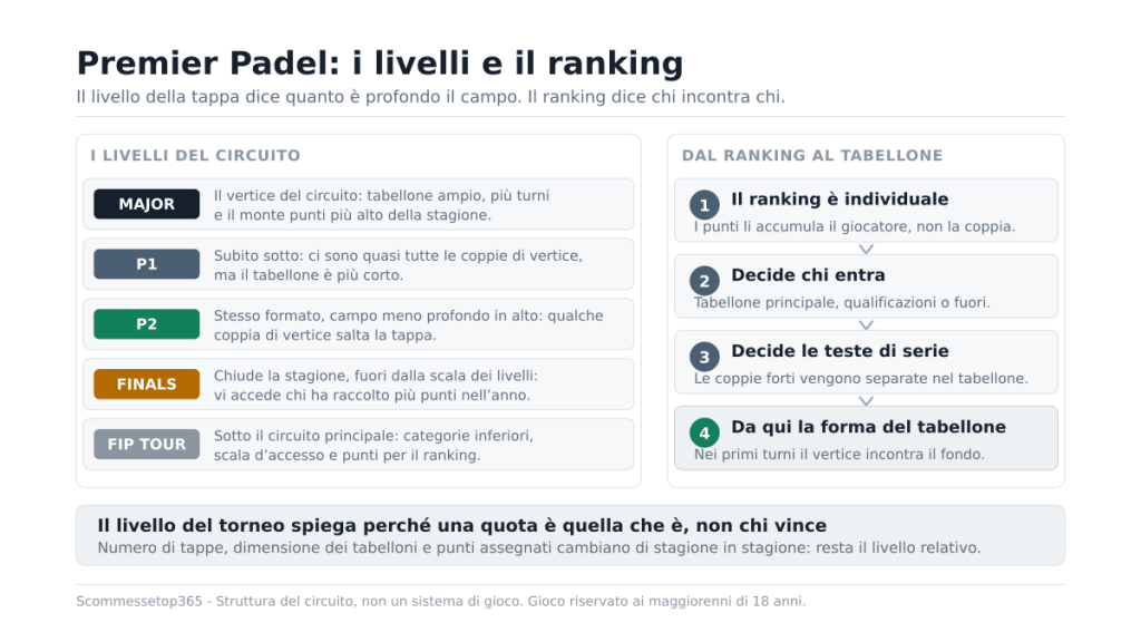 I cinque livelli del padel professionistico, da Finals e Major fino a P1, P2 e FIP Tour, affiancati ai quattro passaggi che portano dal ranking individuale alla forma del tabellone